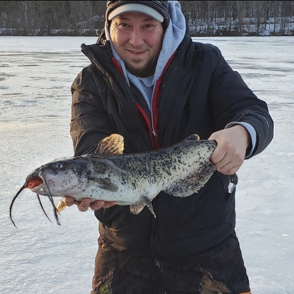 tarter28